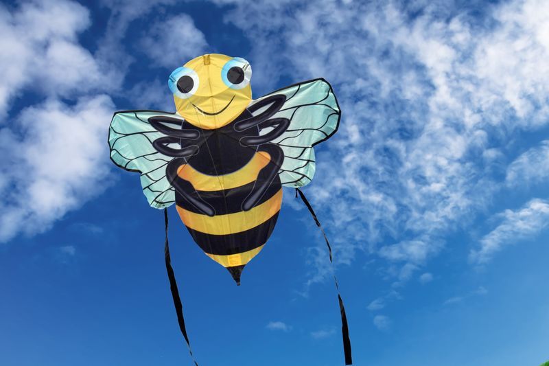 X-Kites SkyBugz Kites - Einleiner-Drachen/Kinderdrachen (1-Leiner) rtf (flugfertig) Biene 86 cm x 85 cm gelb/schwarz